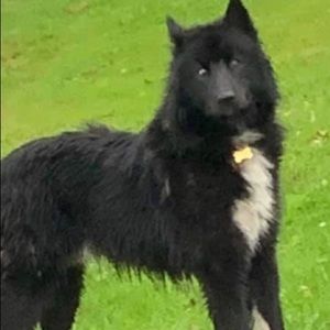 Meet your Posher, Lori